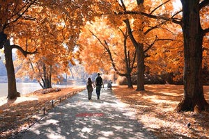 欧冠半决赛次回合，关键之战拉开帷幕