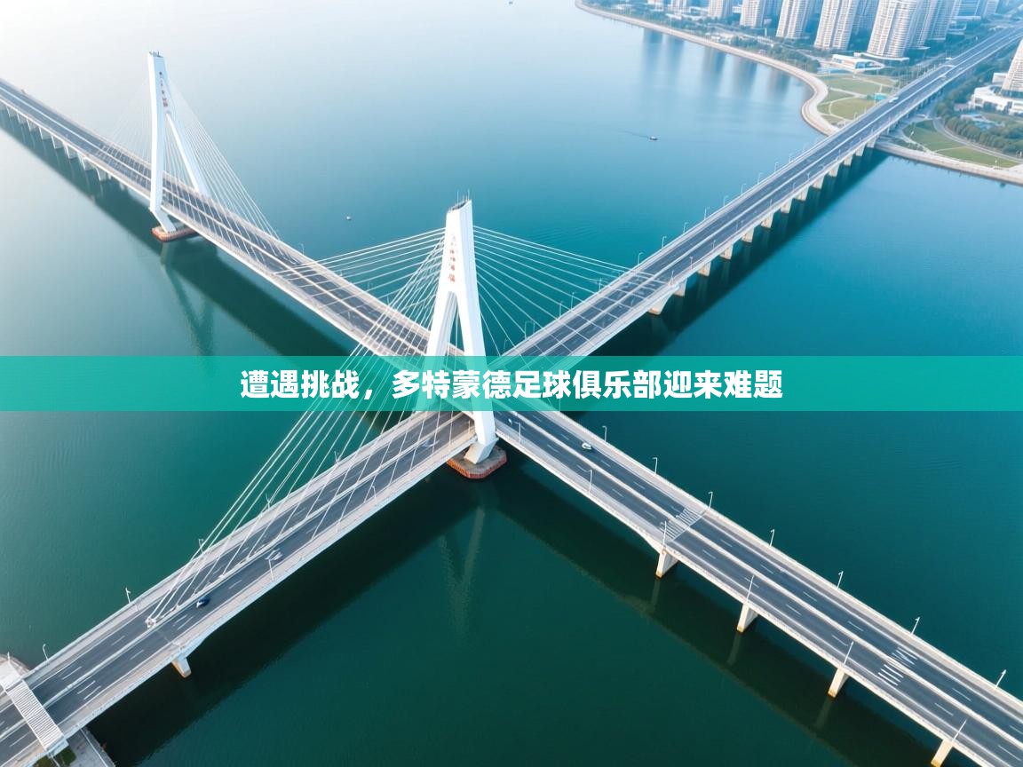 遭遇挑战，多特蒙德足球俱乐部迎来难题  第1张