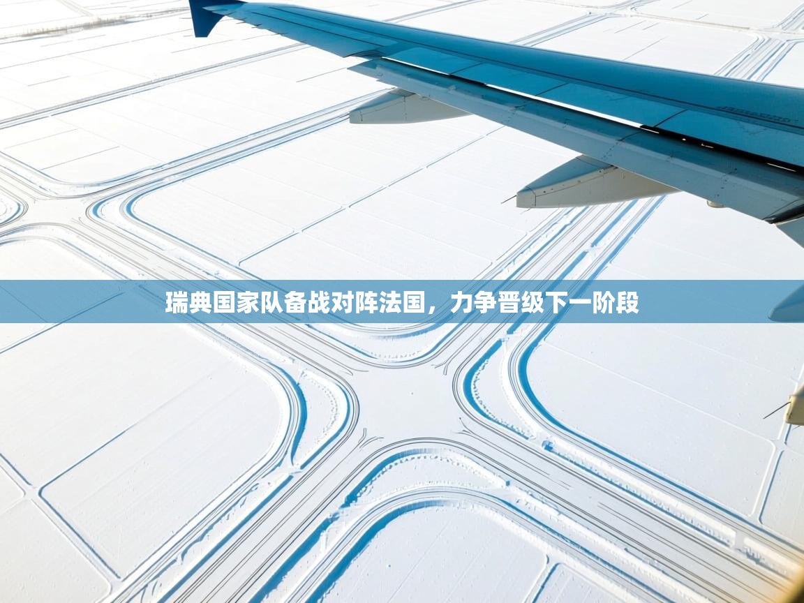 瑞典国家队备战对阵法国,力争晋级下一阶段 第1张