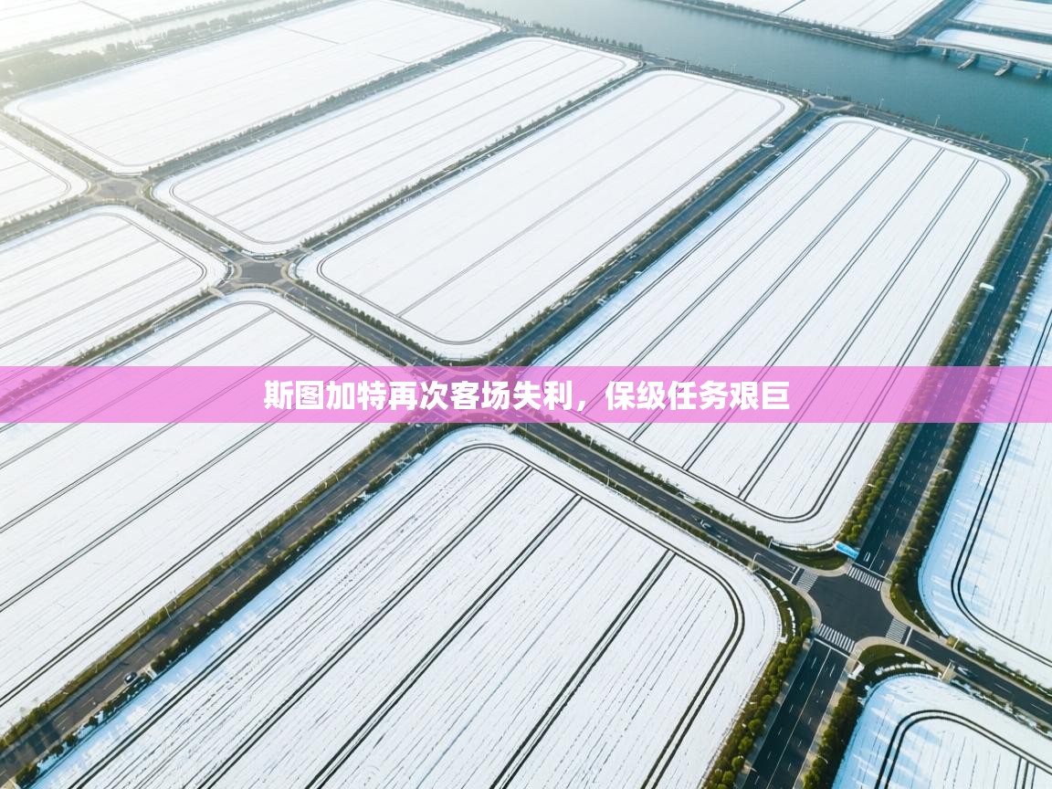 斯图加特再次客场失利，保级任务艰巨  第1张