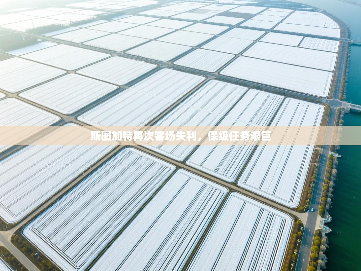 斯图加特再次客场失利，保级任务艰巨  第2张